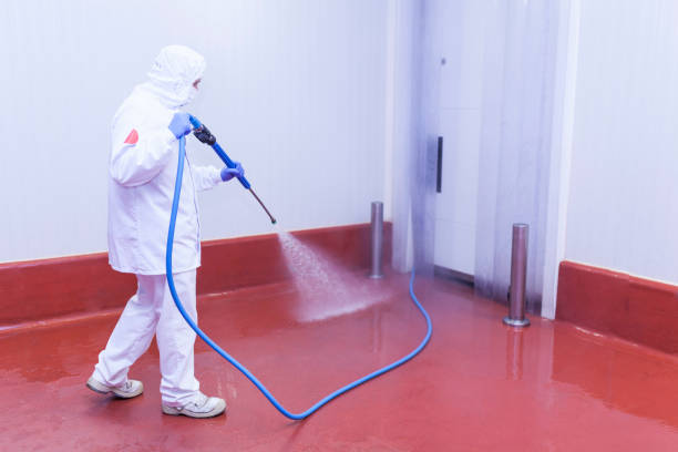Best Warehouse Cleaning  in Henry, IL